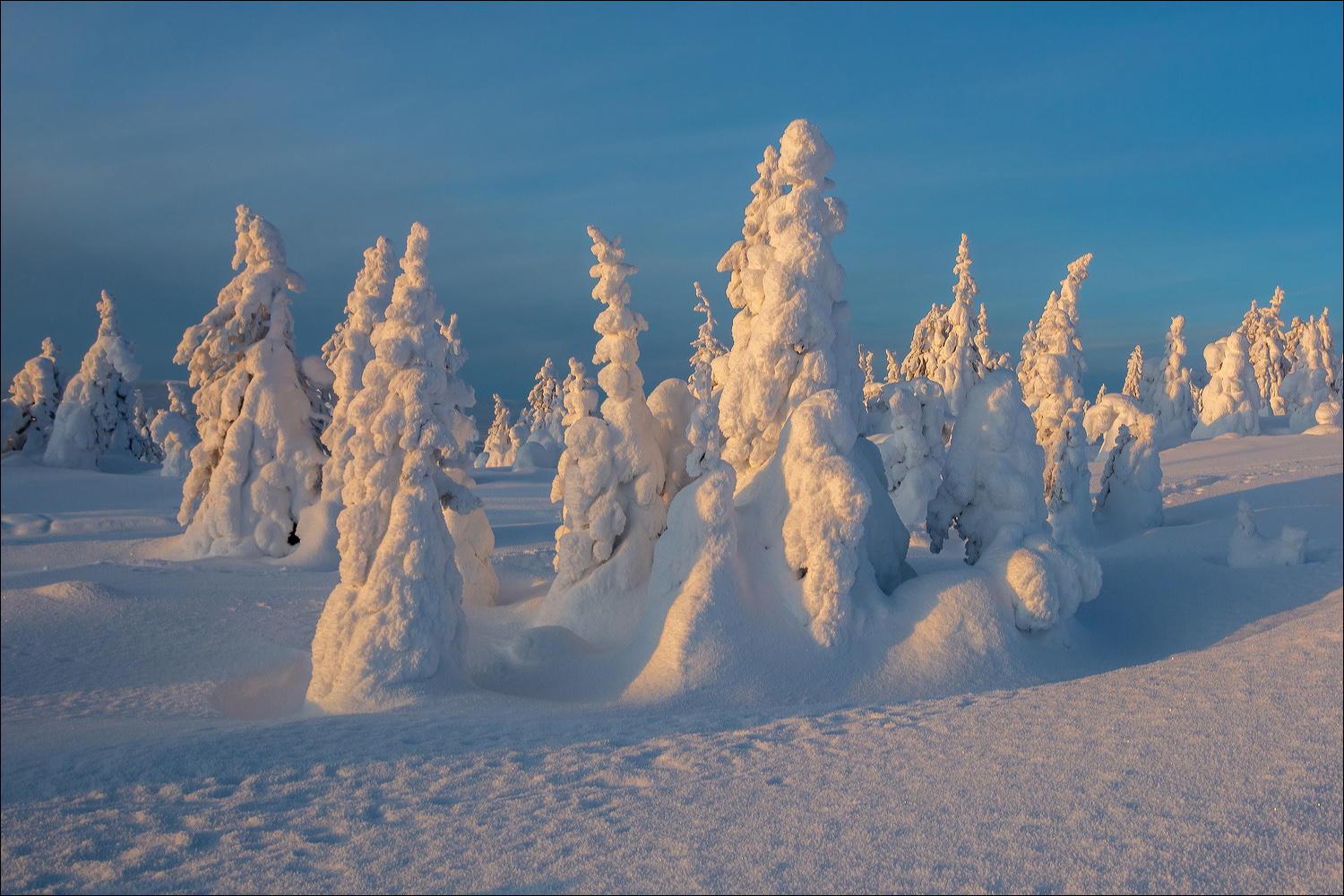 °°° Eiskalte Gesellen °°°