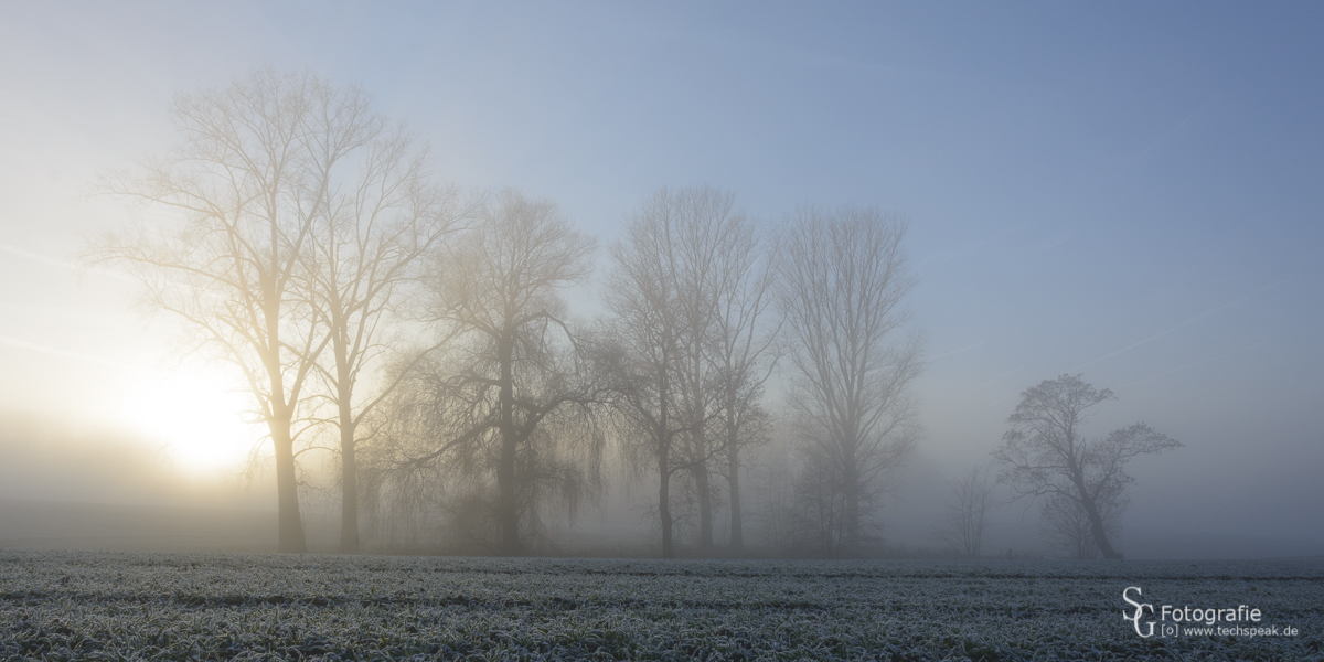 Der Acker im Gegenlicht