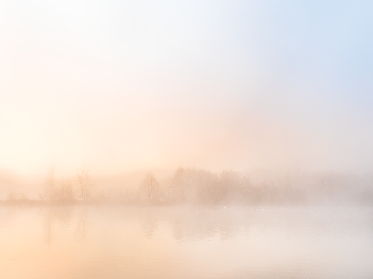 Sonnenaufgang im Nebel