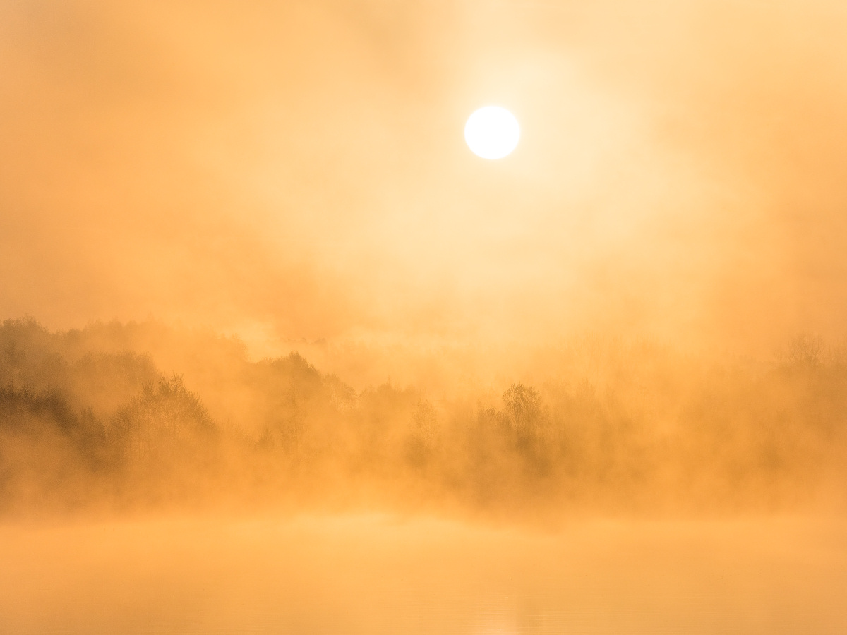 Sonne im Nebel