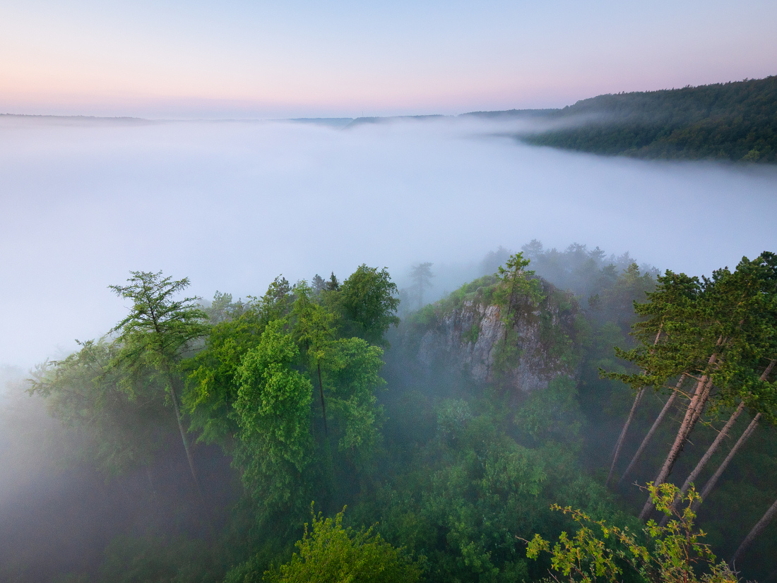 Der Morgen danach