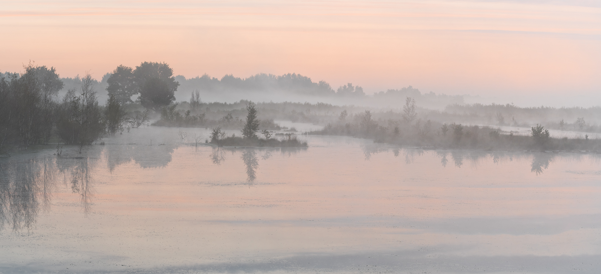 __Moor im Nebel__