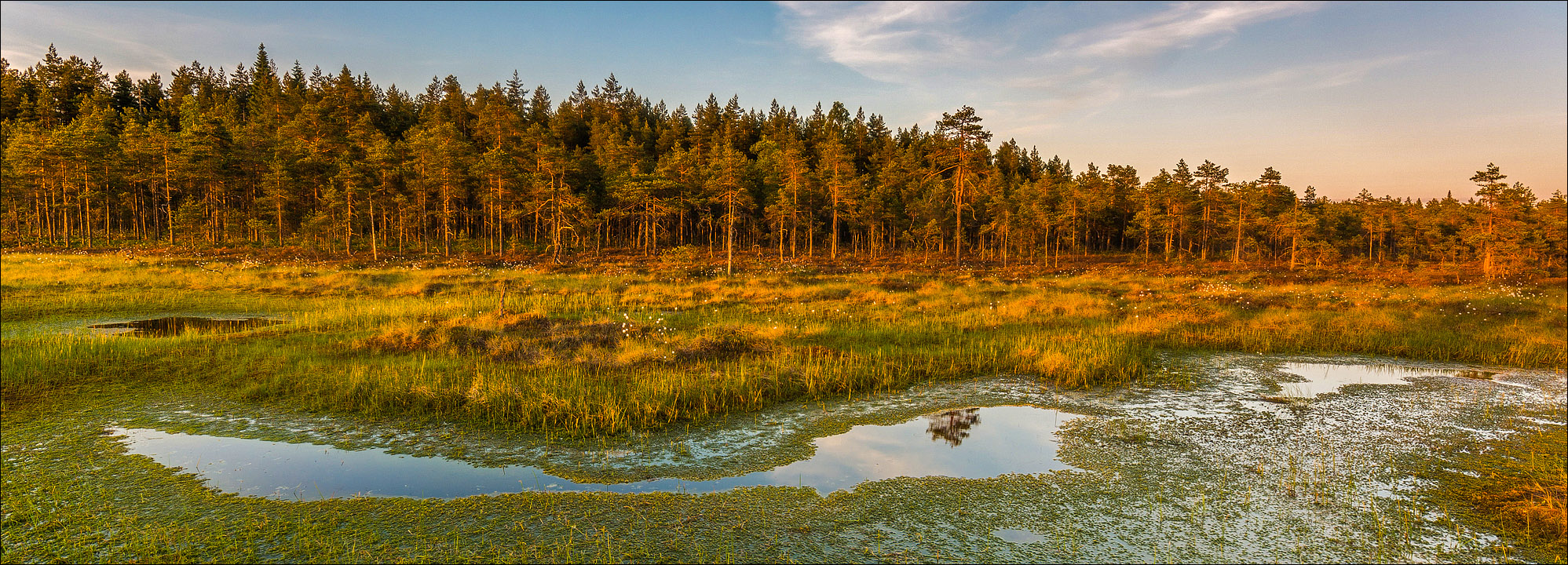 °°° goldenes Moor II °°°