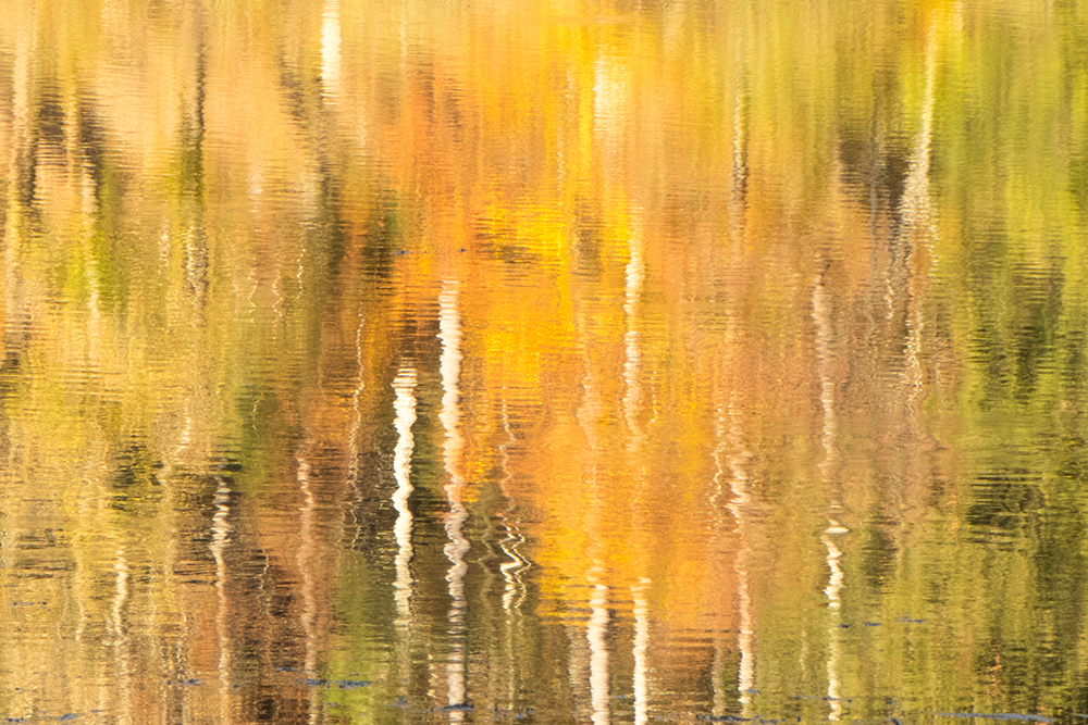 Ein Herbstnachmittag am See