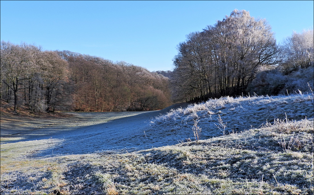 Leicht bereift