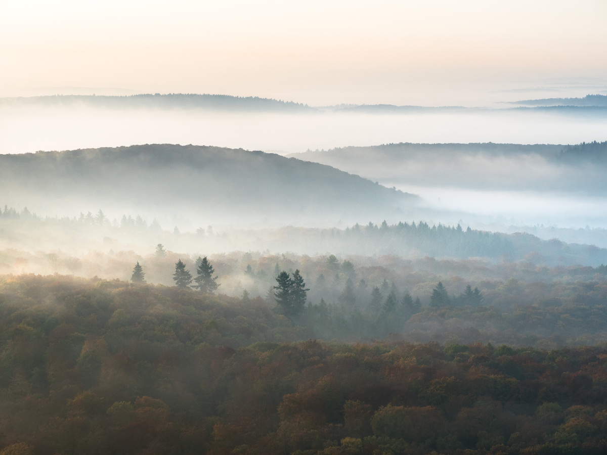 Herbst