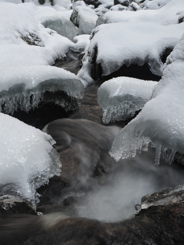 Winterwunderland