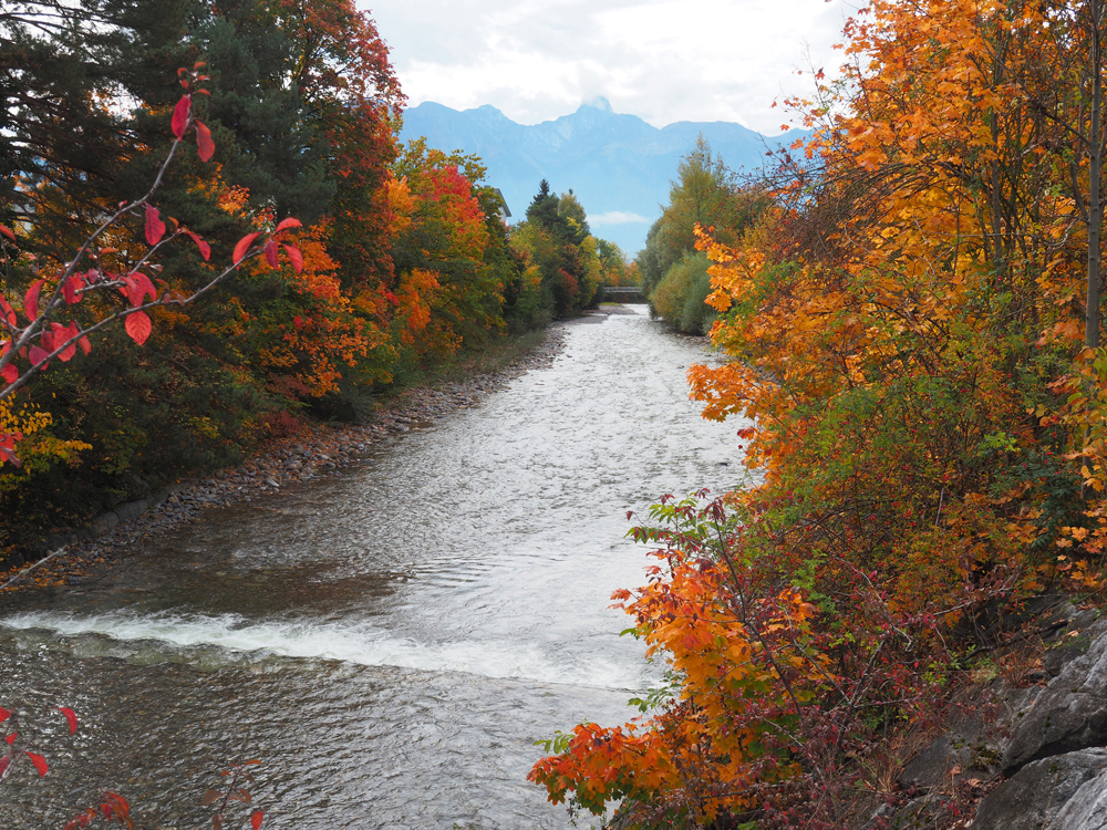 Herbst am Fluss