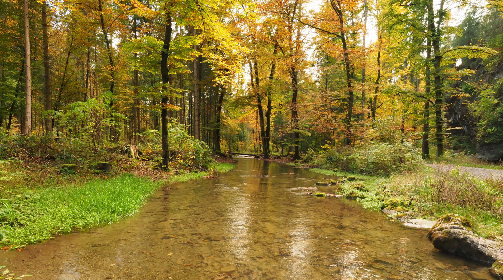 Goldener Herbst im Glütschbachtal