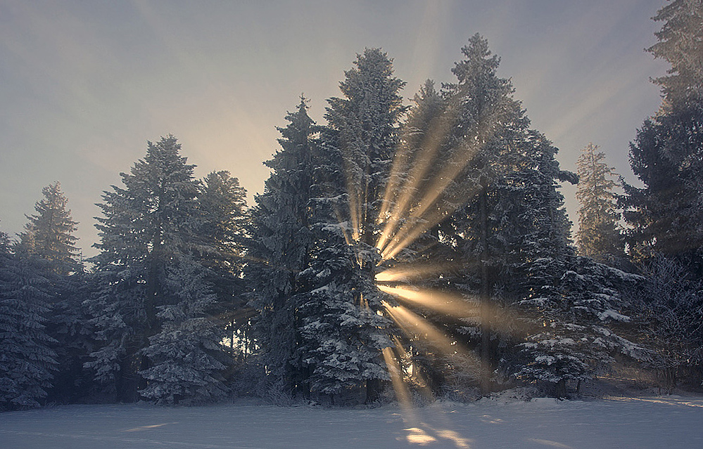 Ein kalter Wintermorgen