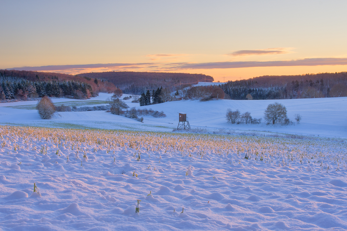 Wintermorgen