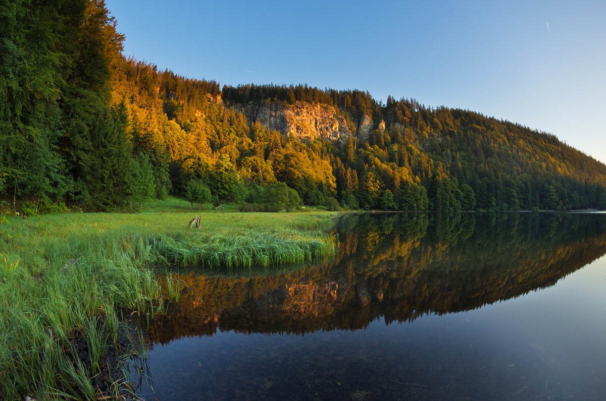 Morgenlicht am Feldsee