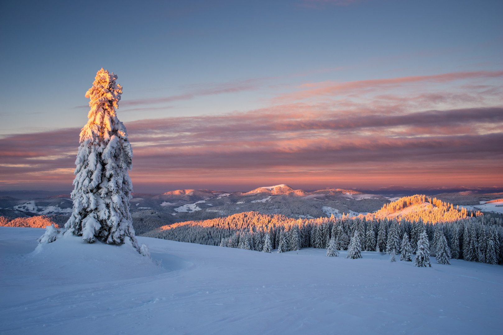 Wintermorgenlicht