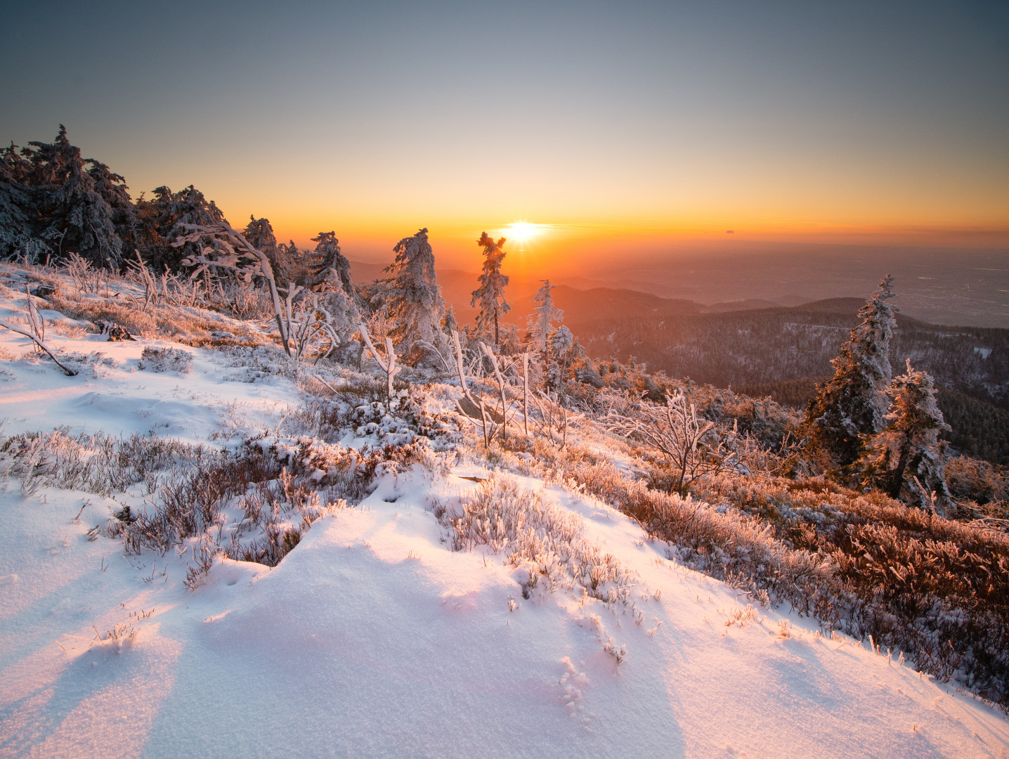 Winterabendlicht