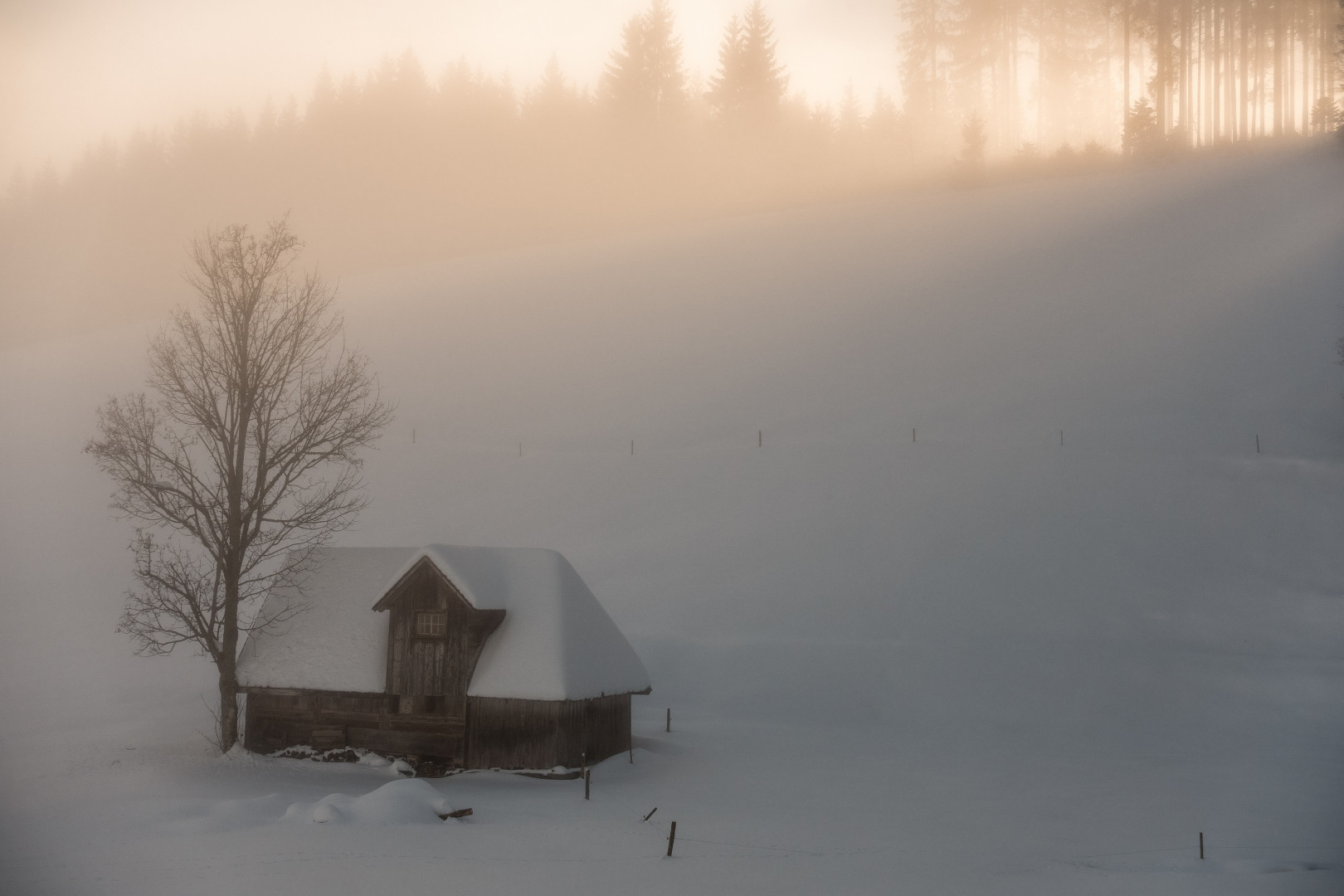 Nebel und Sonne