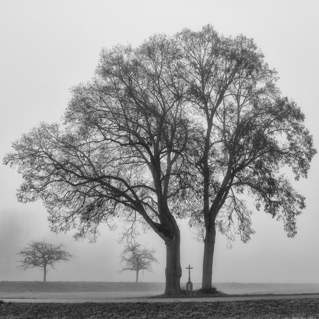 ... zum Winterausklang ein Bild vom Winteranfang