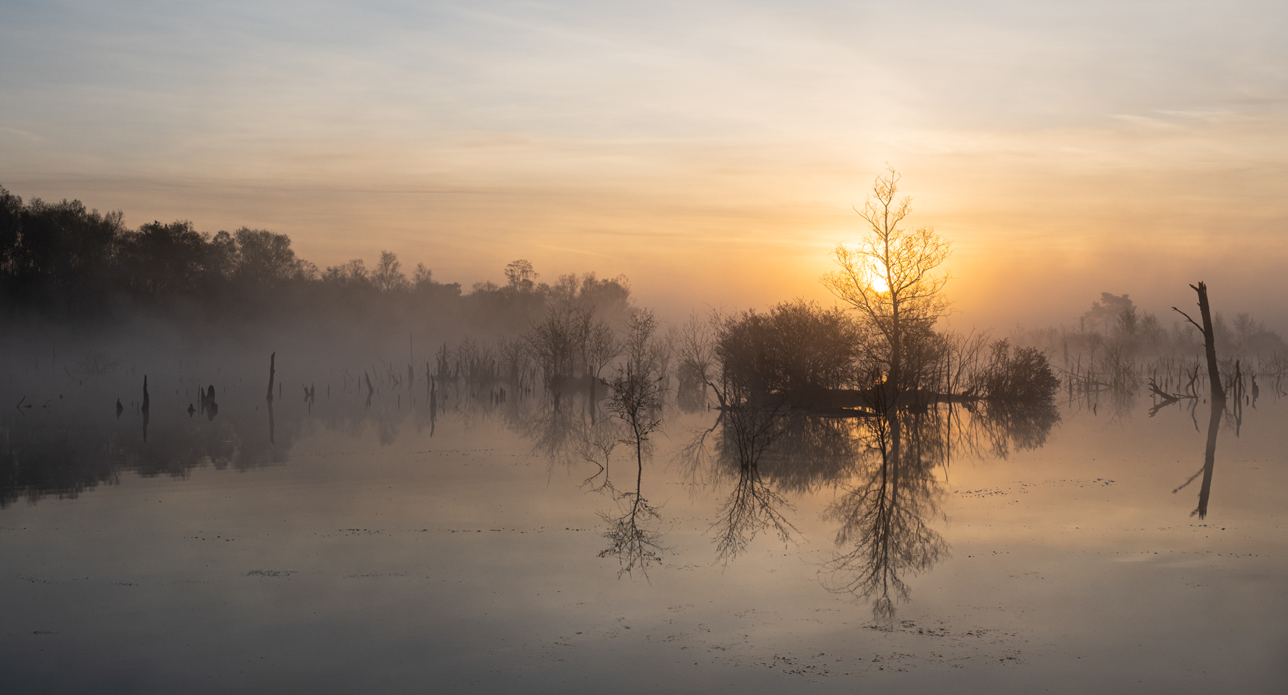 ____Sonnenaufgang im Moor__________________