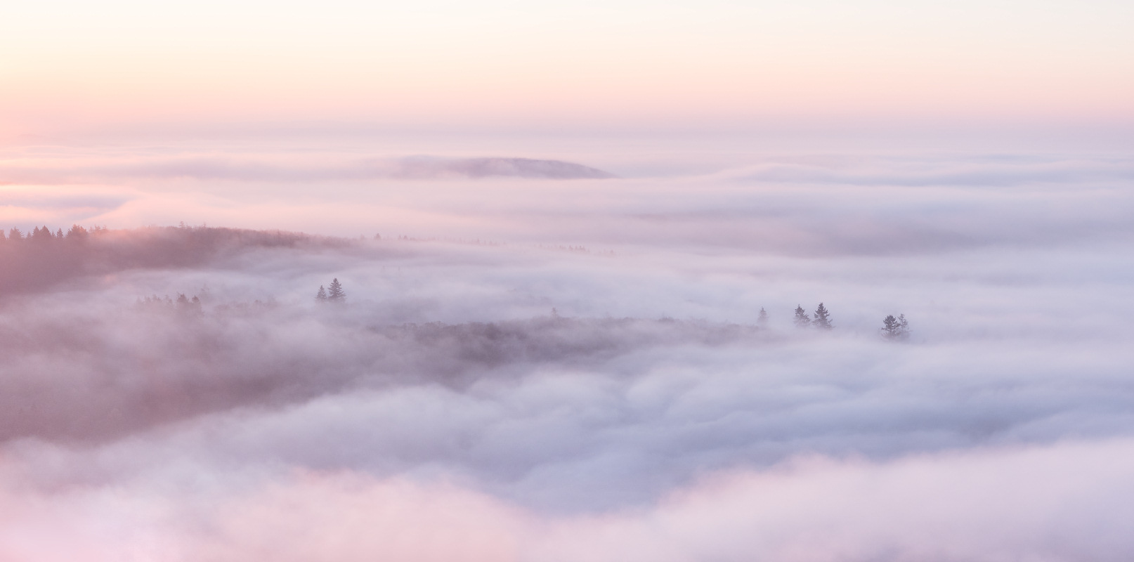 Sonnenaufgang über dem Nebel