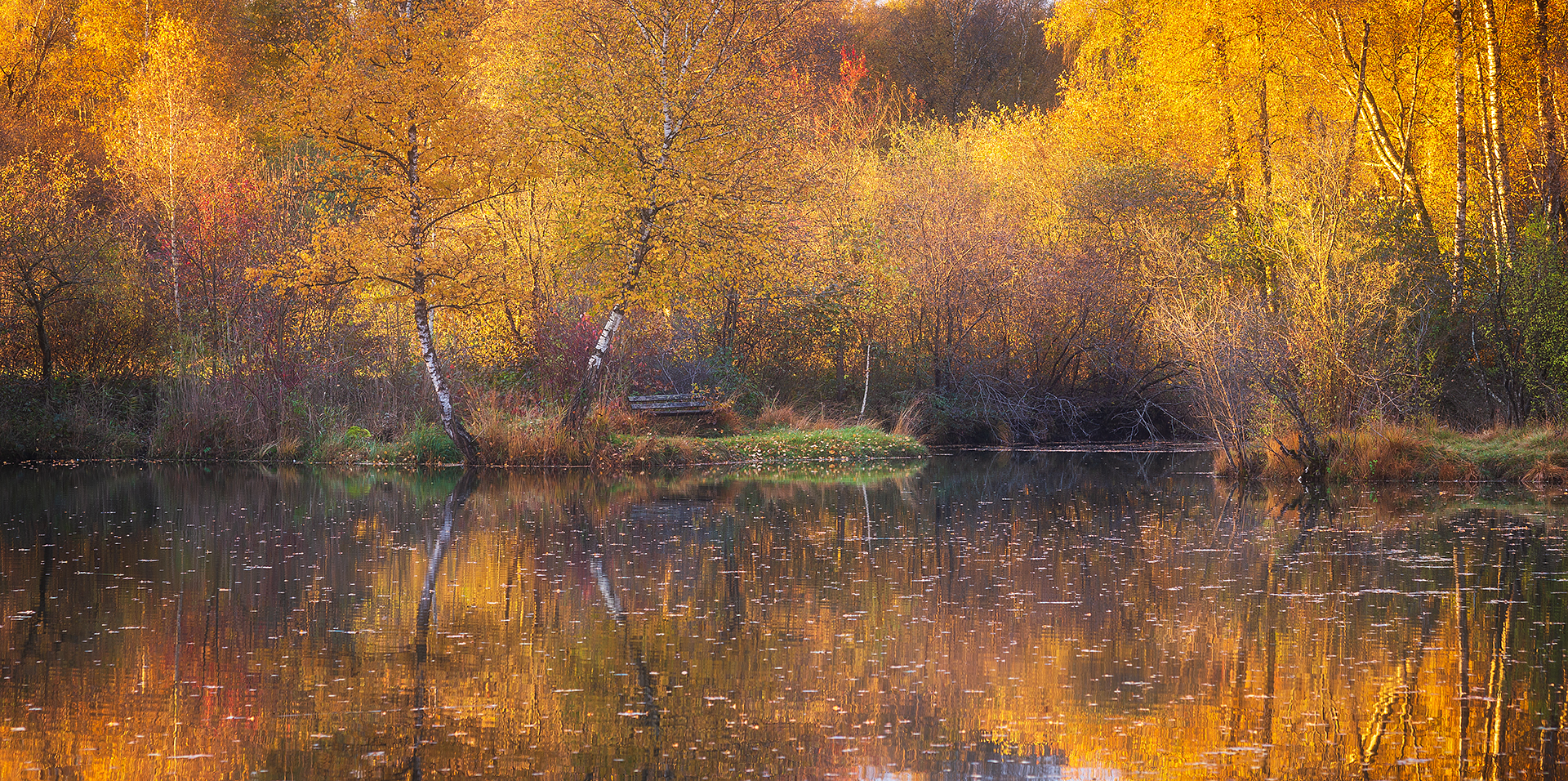 herbst am see