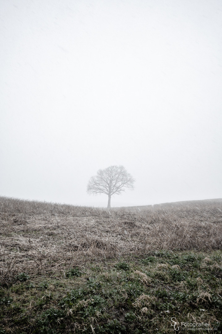 Aprilwetter