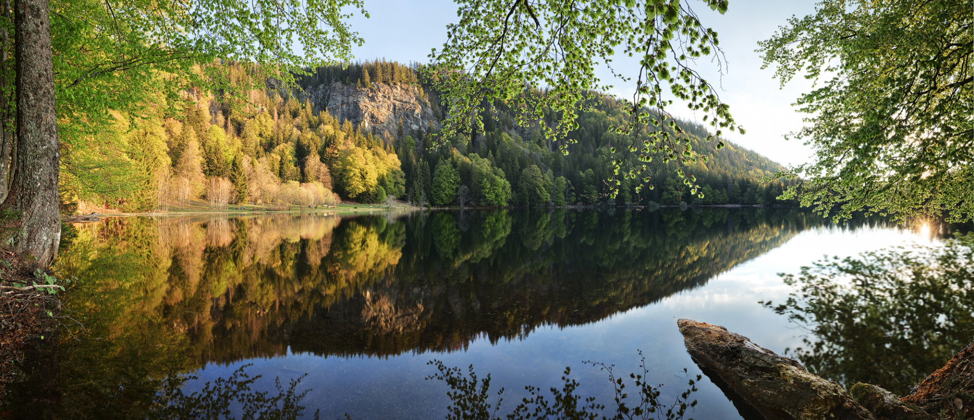 Morgenstimmung am Feldsee