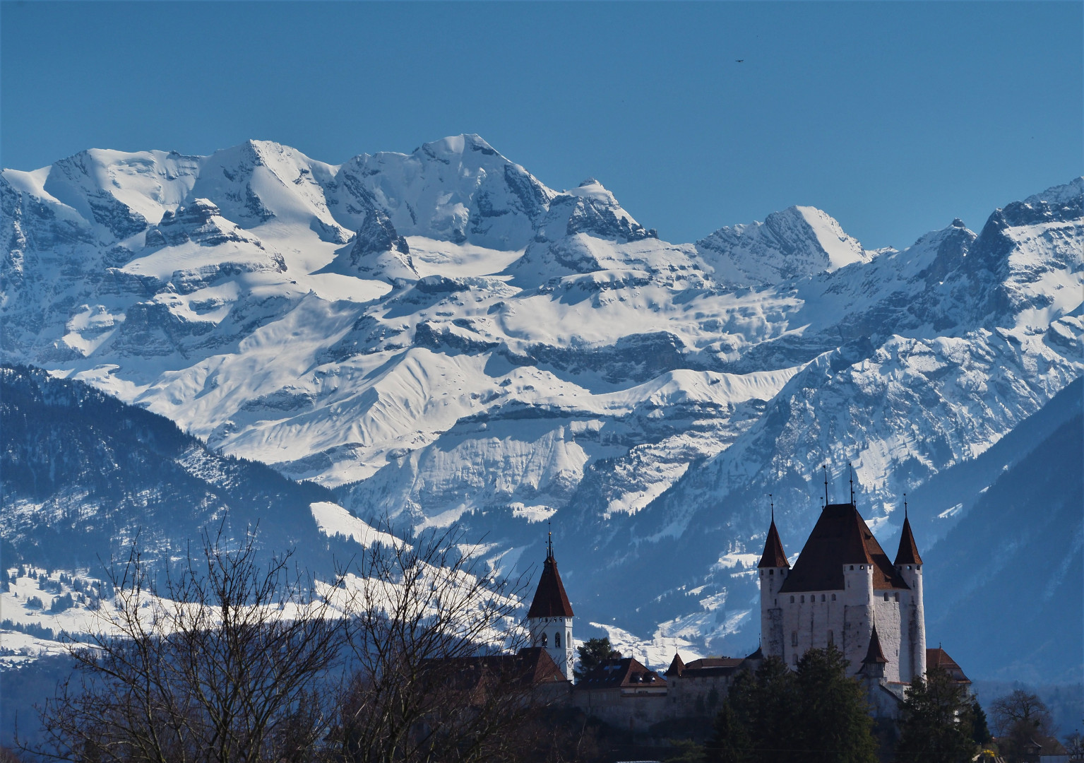 Blüemlisalp mit Schloss Thun