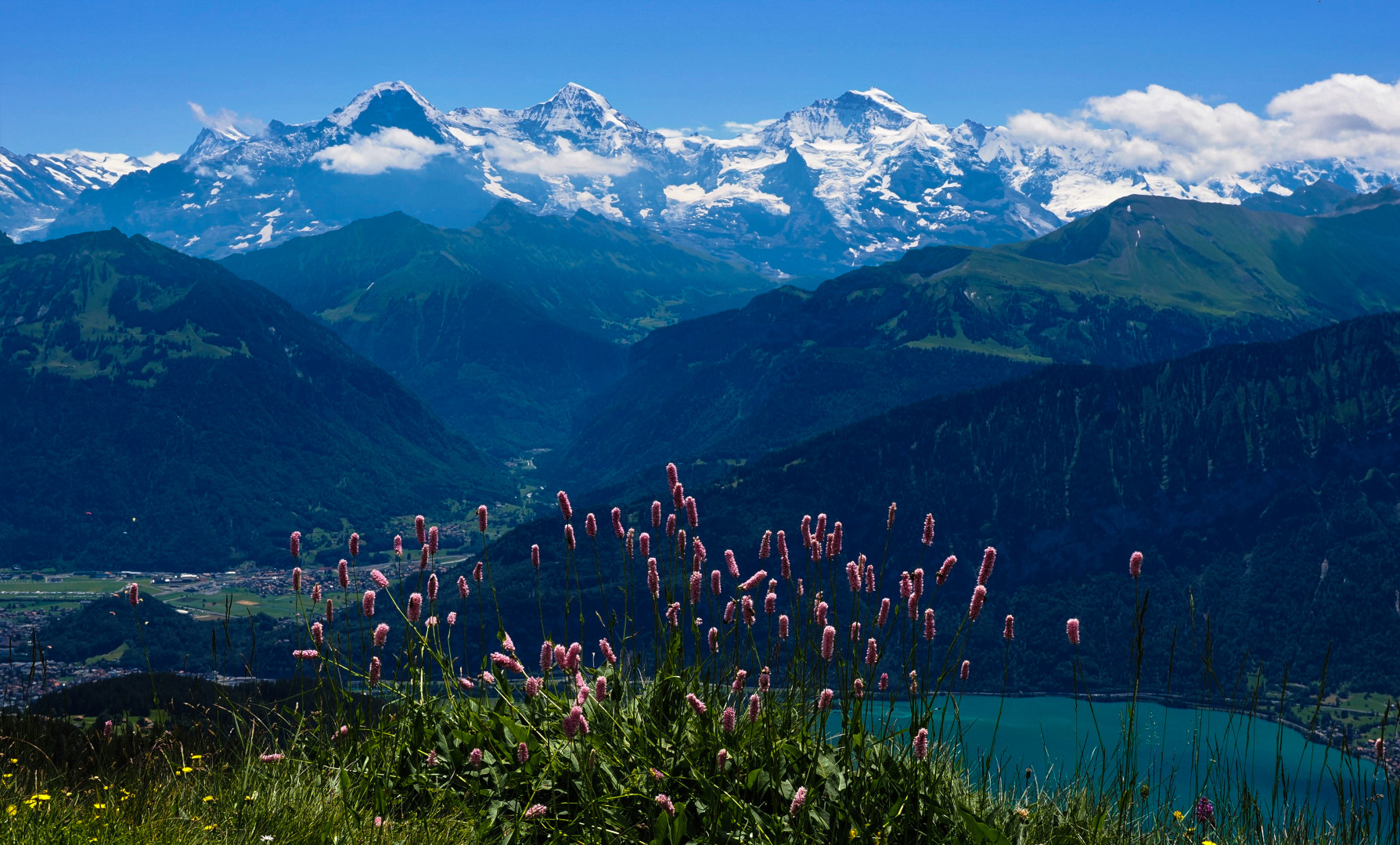 Blick vom Niederhorn auf Eiger, Mönch und Jungfrau