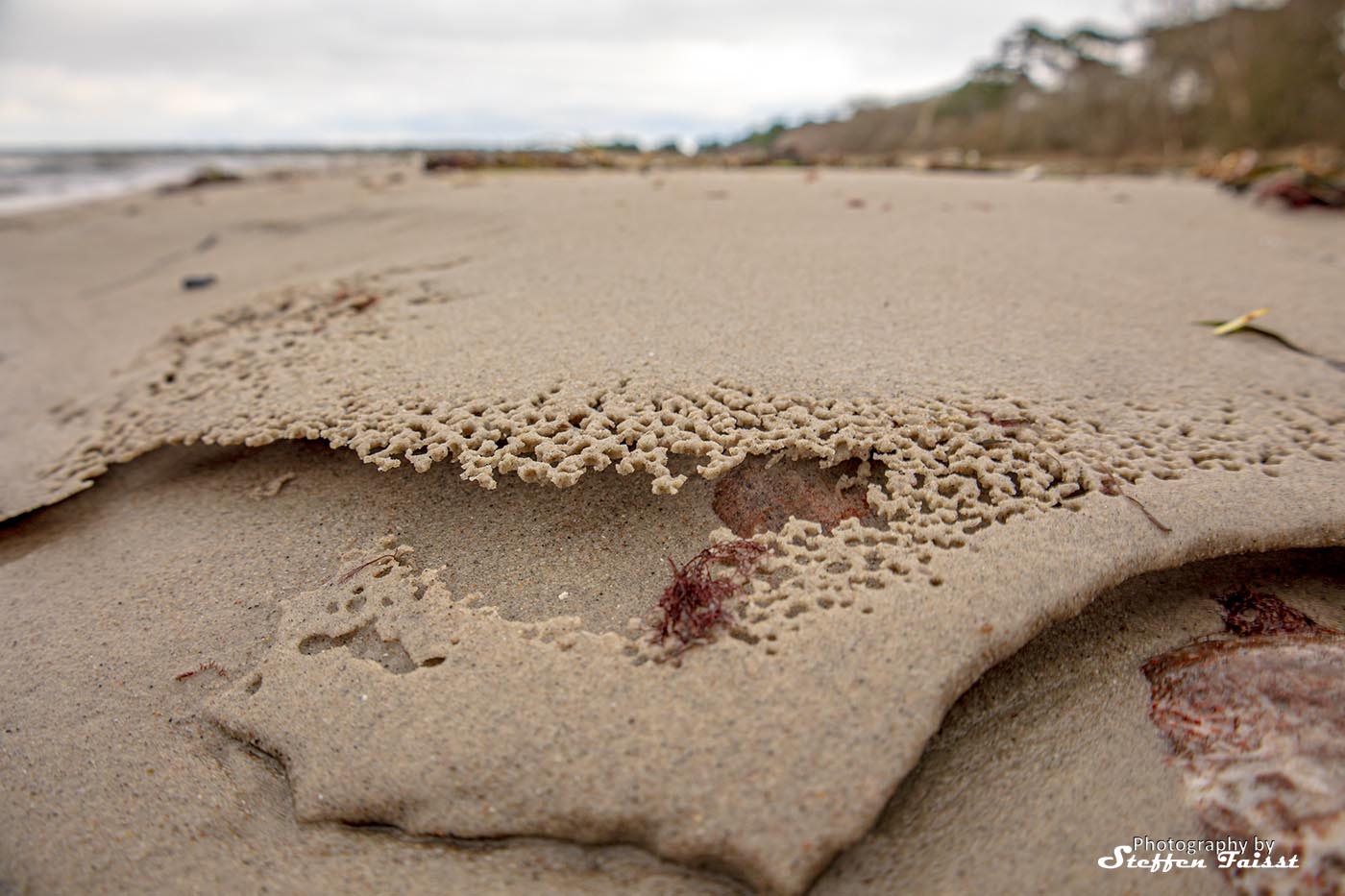 Sandskulptur