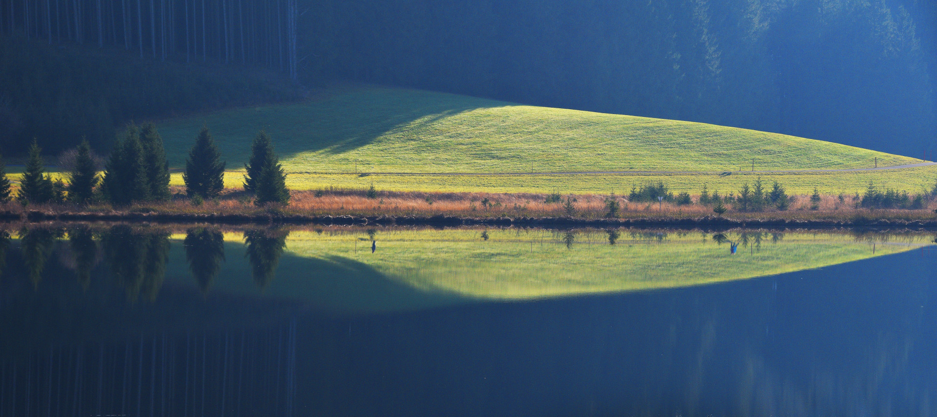 Eine Wiese und ihre Spiegelung.