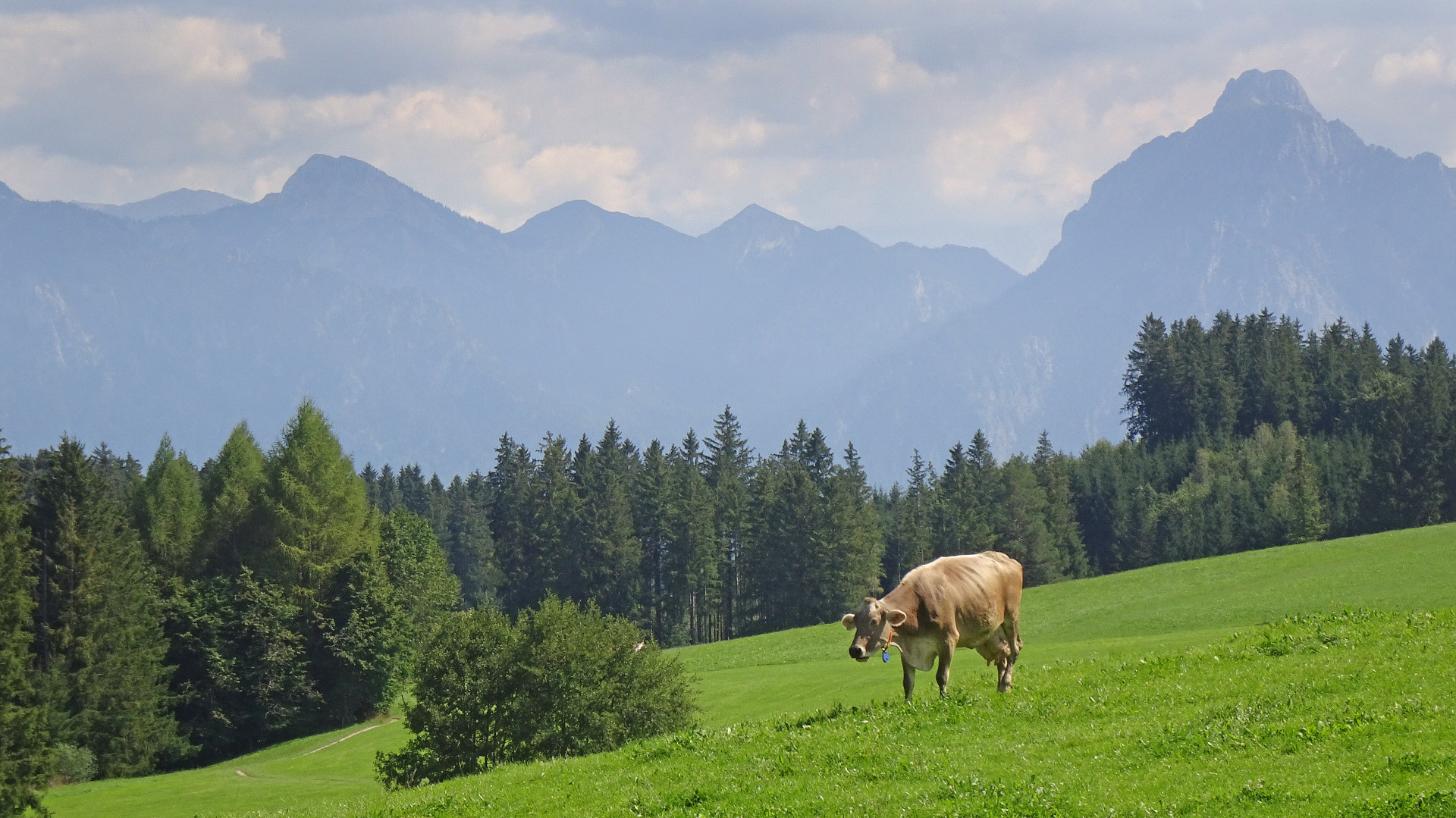 Typisch Allgäu.