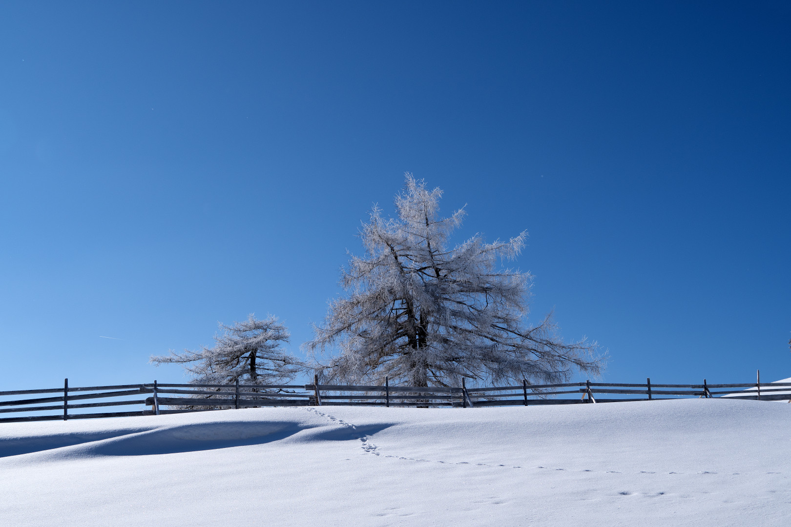 Eiskalt weiss und strahlend blau.