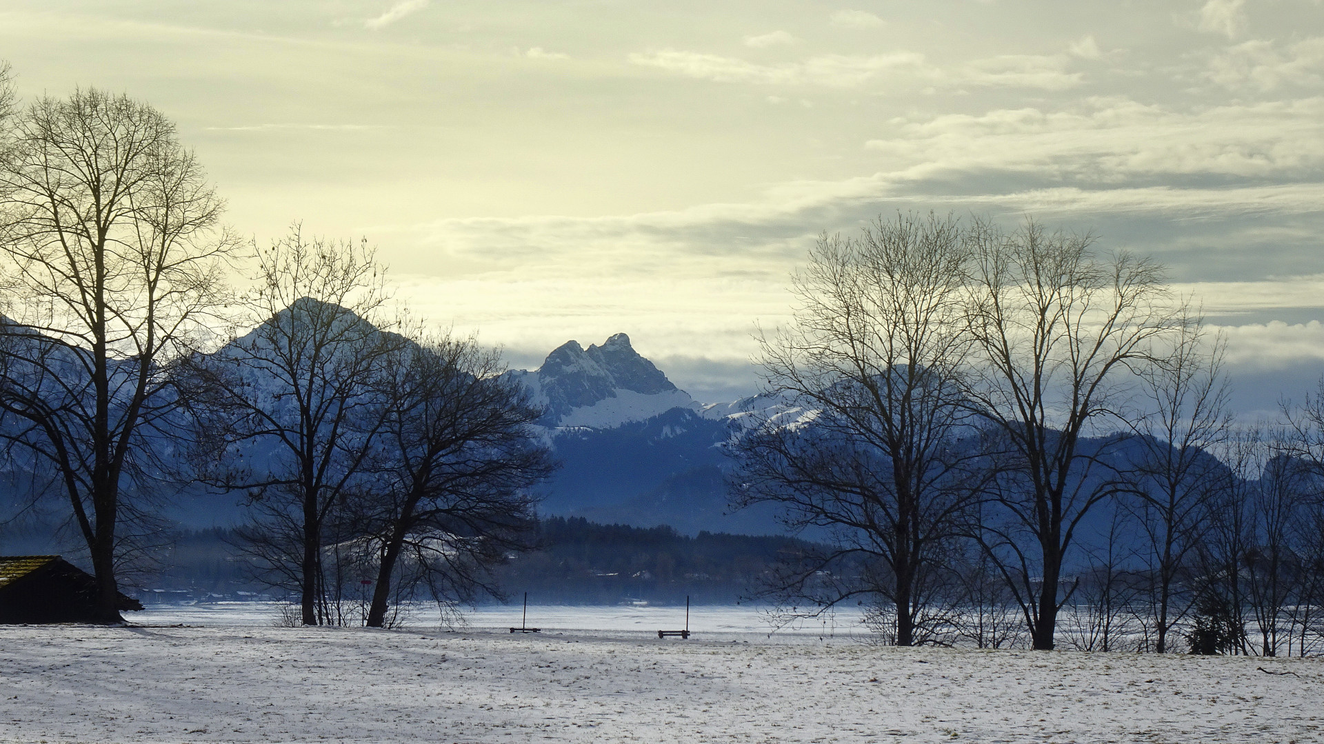 Am Forggensee.