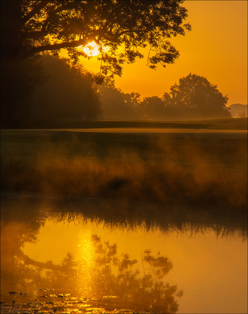 °°° goldenes Dampfbad °°°