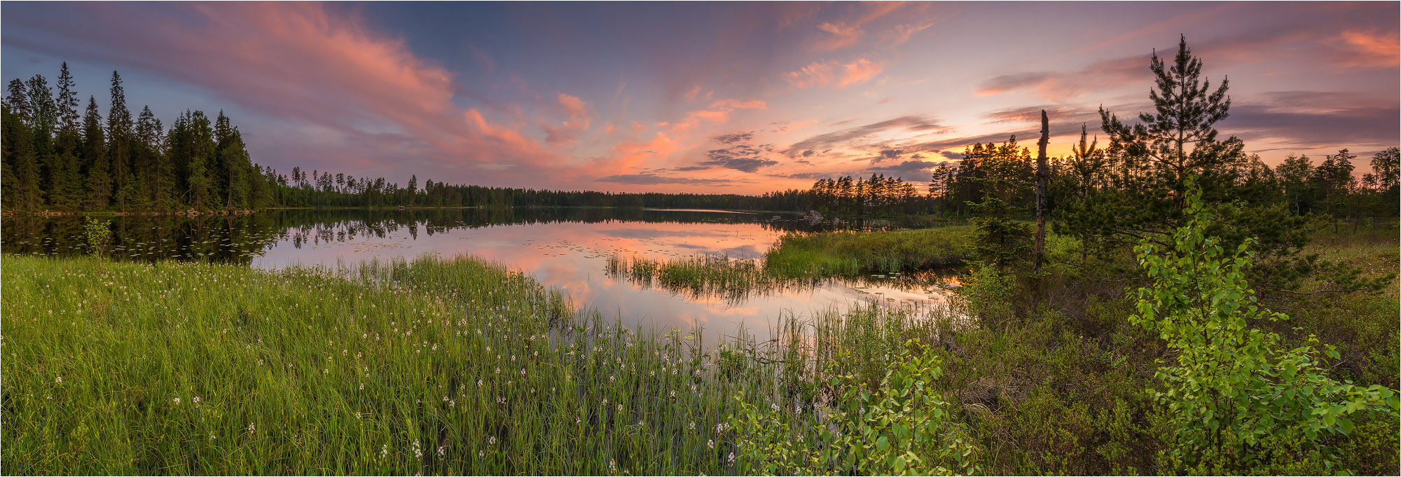 °°° Abends am Bosjön °°°