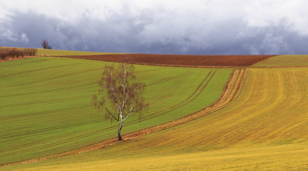 im Vorfrühling