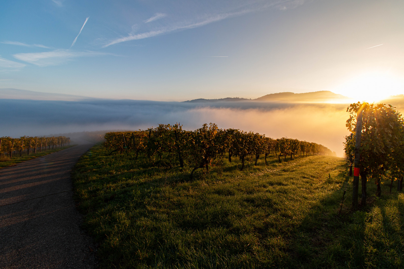 Sonnenaufgang und Nebel